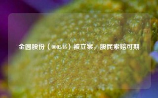 金圆股份（000546）被立案，股民索赔可期