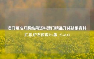 澳门精准开奖结果资料澳门精准开奖结果资料汇总,炉石传说Pro版_25.36.61