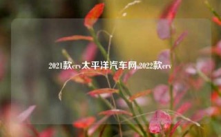 2021款crv太平洋汽车网,2022款crv