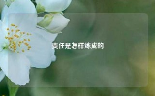 责任是怎样炼成的