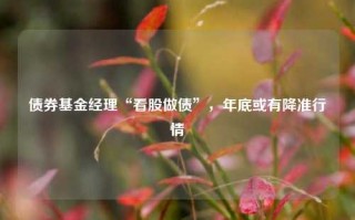 债券基金经理“看股做债”，年底或有降准行情