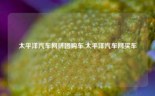 太平洋汽车网拼团购车,太平洋汽车网买车