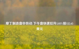 摩丁制造盘中异动 下午盘快速拉升5.03%报132.65美元