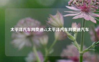 太平洋汽车网奥迪a3,太平洋汽车网奥迪汽车