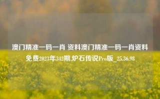 澳门精准一码一肖 资料澳门精准一码一肖资料免费2023年342期,炉石传说Pro版_25.36.98