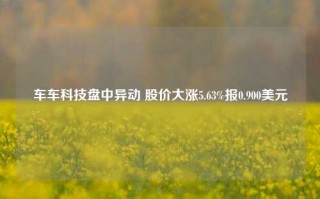 车车科技盘中异动 股价大涨5.63%报0.900美元