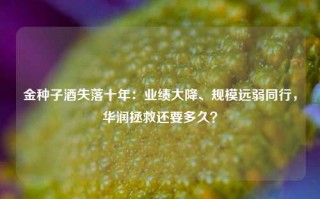 金种子酒失落十年：业绩大降、规模远弱同行，华润拯救还要多久？