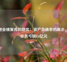 联想业绩复苏的隐忧：资产负债率仍高企，ISG业务亏损2.6亿元