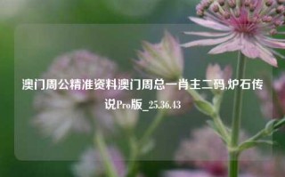 澳门周公精准资料澳门周总一肖主二码,炉石传说Pro版_25.36.43