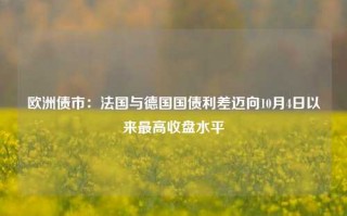 欧洲债市：法国与德国国债利差迈向10月4日以来最高收盘水平