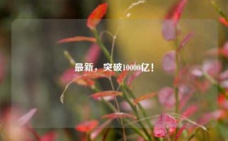 最新，突破10000亿！