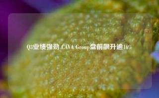 Q3业绩强劲 CAVA Group盘前飙升逾16%