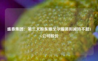 盛泰集团：第三大股东雅戈尔服装拟减持不超3%公司股份