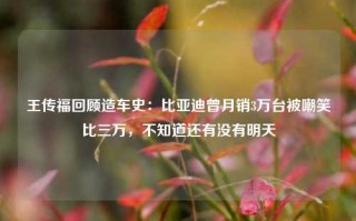 王传福回顾造车史：比亚迪曾月销3万台被嘲笑比三万，不知道还有没有明天