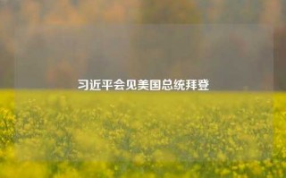 习近平会见美国总统拜登