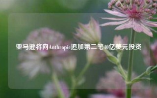 亚马逊将向Anthropic追加第二笔40亿美元投资