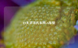 RX太平洋汽车网,rx车型