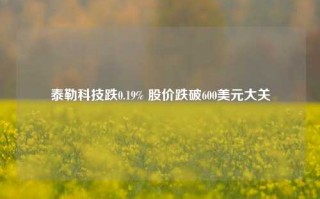 泰勒科技跌0.19% 股价跌破600美元大关