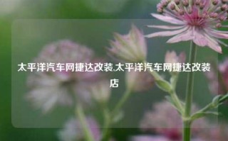 太平洋汽车网捷达改装,太平洋汽车网捷达改装店