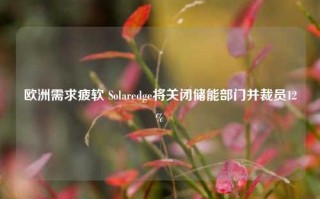 欧洲需求疲软 Solaredge将关闭储能部门并裁员12%