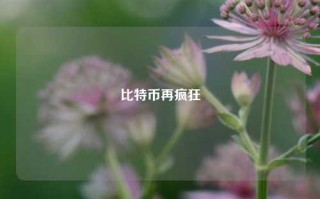 比特币再疯狂