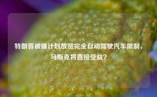 特朗普被曝计划放宽完全自动驾驶汽车限制，马斯克将直接受益？