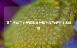 芬兰完成了对受损海底数据光缆的犯罪现场调查