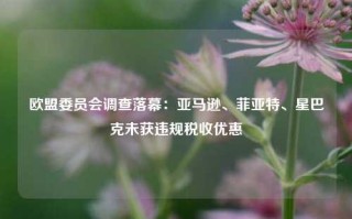 欧盟委员会调查落幕：亚马逊、菲亚特、星巴克未获违规税收优惠