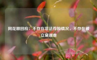 同花顺回应：不存在非法荐股情况，不存在被立案调查