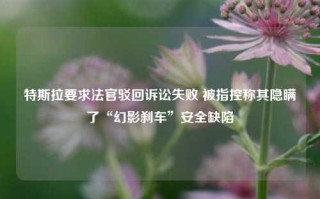 特斯拉要求法官驳回诉讼失败 被指控称其隐瞒了“幻影刹车”安全缺陷