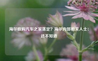 海尔收购汽车之家落定？海尔内部相关人士：还不知道