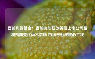 西部利得基金：当前流动性改善但上市公司盈利预期变化尚不清晰 市场未形成核心主线