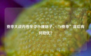 费率大战内卷至中小理财子，“0费率”背后有何隐忧？