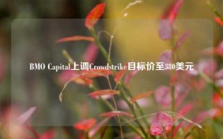 BMO Capital上调Crowdstrike目标价至380美元