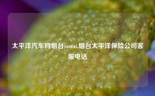 太平洋汽车网烟台yantai,烟台太平洋保险公司客服电话