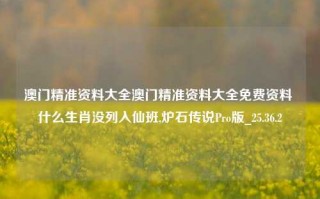 澳门精准资料大全澳门精准资料大全免费资料 什么生肖没列入仙班,炉石传说Pro版_25.36.2