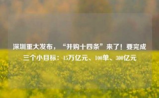 深圳重大发布，“并购十四条”来了！要完成三个小目标：15万亿元、100单、300亿元