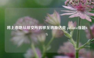 将上市地从纽交所转移至纳斯达克 palantir涨超6%