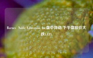 Barnes  Noble Education, Inc盘中异动 下午盘股价大跌5.13%