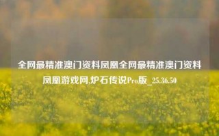 全网最精准澳门资料凤凰全网最精准澳门资料凤凰游戏网,炉石传说Pro版_25.36.50