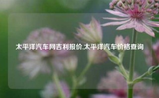 太平洋汽车网吉利报价,太平洋汽车价格查询