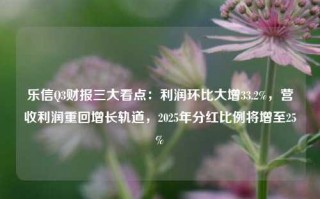 乐信Q3财报三大看点：利润环比大增33.2%，营收利润重回增长轨道，2025年分红比例将增至25%