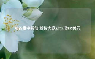 灿谷盘中异动 股价大跌5.07%报3.93美元