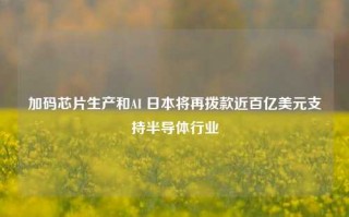 加码芯片生产和AI 日本将再拨款近百亿美元支持半导体行业