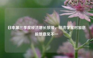 日本第三季度经济增长放缓，经济学家对加息前景意见不一