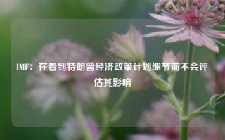 IMF：在看到特朗普经济政策计划细节前不会评估其影响