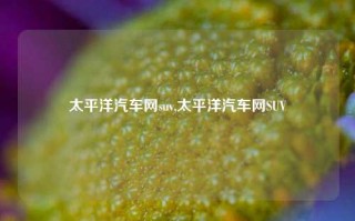 太平洋汽车网suv,太平洋汽车网SUV