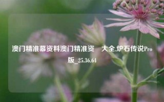 澳门精准幕资料澳门精准资枓大全,炉石传说Pro版_25.36.64