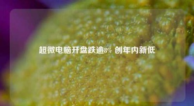 超微电脑开盘跌逾8% 创年内新低