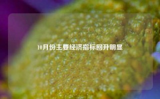 10月份主要经济指标回升明显